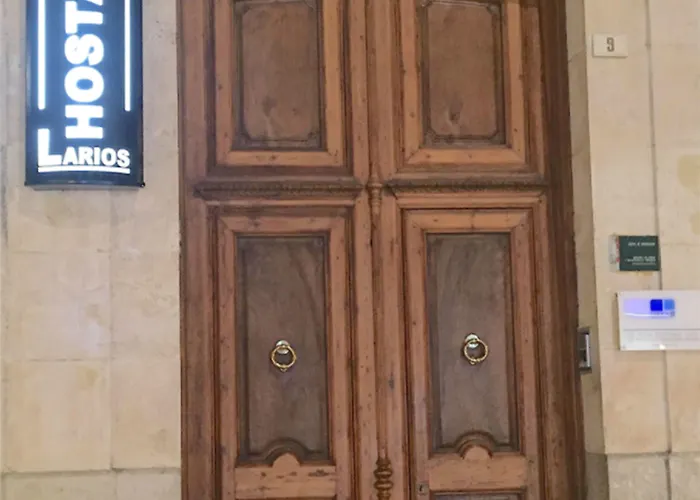 오스탈 라리오스 게스트하우스 말라가