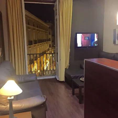 Guest house Larios *
